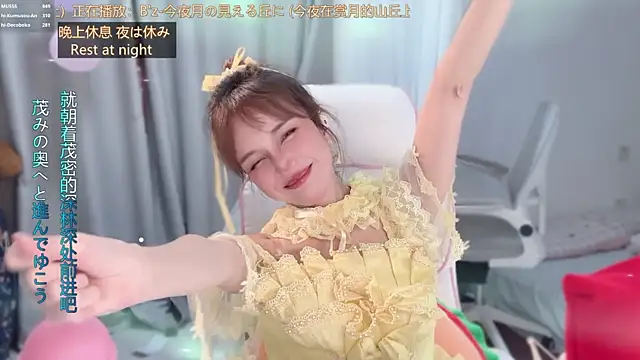 hi-AnAn 网络视讯表演