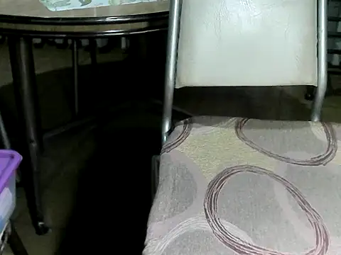 Show webcam de OreCam