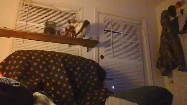 ajsin7 লাইভ XXX চ্যাট