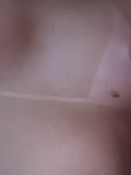 meganfox89 webkamerás műsora