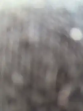 FoxyMoodのライブXXXチャット