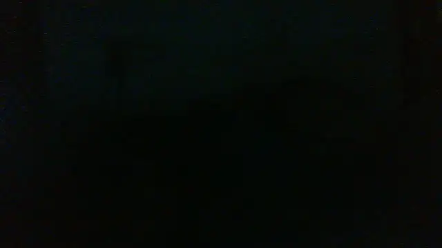 dandonn ওয়েবক্যাম শো