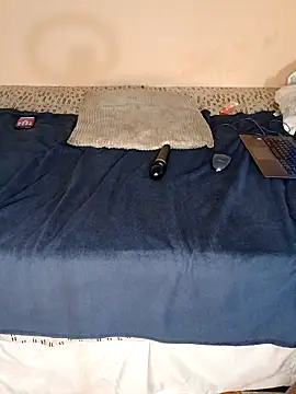 Show Webcam de lineras