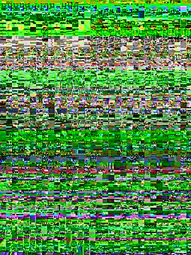 VINDY-n Webbikameraesitys