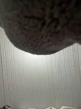 Pokazy przed kamerką – afayecd