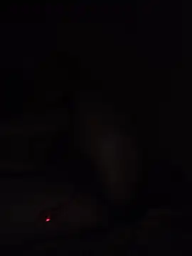 USA_Queen_Reshu 网络视讯表演