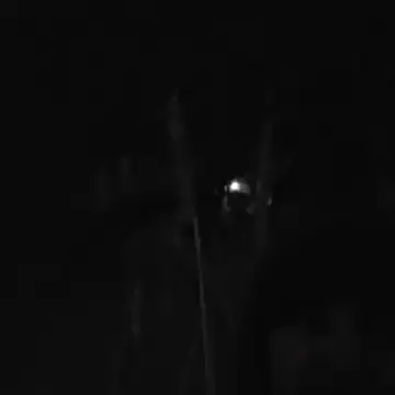 Show de luis97fer na webcam