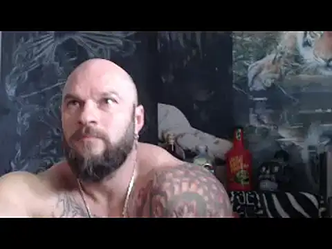 viking_30 Show in webcam