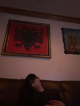 hailzeffn's Webcam Show