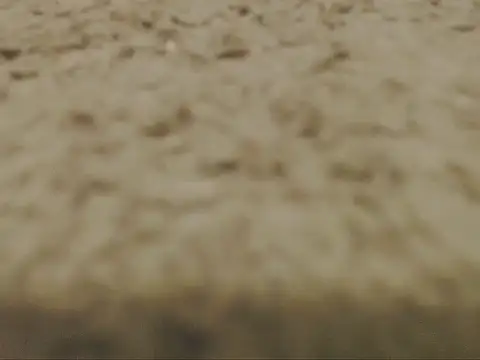 studlyhardwoodd's Webcam Show