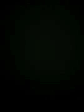 Fun_yacine 网络视讯表演