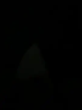 Webkamerová show Sexylady1324