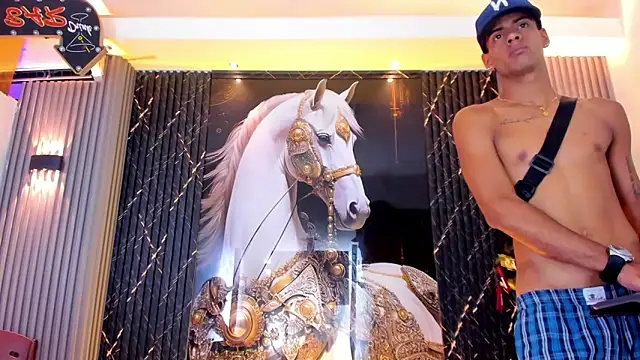 عرض كام the_knights_of_the_night_