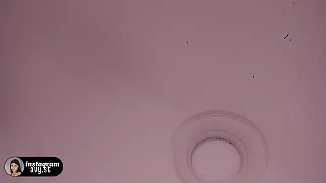 Chat XXX Live avy_st