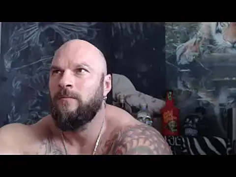 Show webcam de viking_30