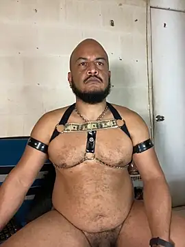 Show webcam de the_master_foal_