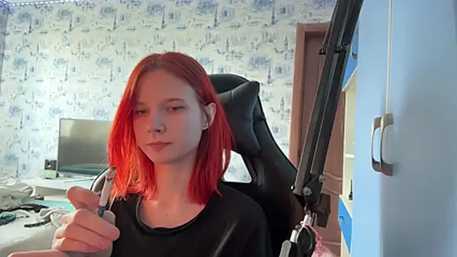 Pertunjukan Kamera Web PlumbicPart