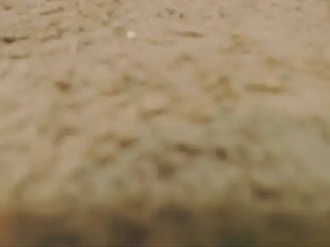 Chat +18 de studlyhardwoodd ao vivo