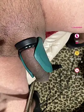 HngTxnn Webbikameraesitys