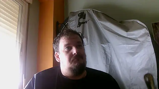 Show Webcam de porkorossy