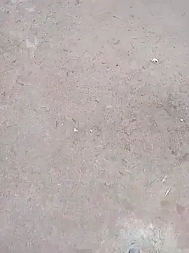 svvagesexyy Pertunjukan Webcam