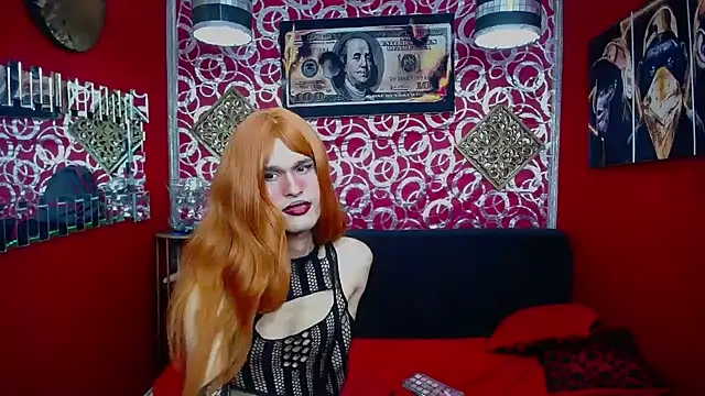 عرض كام shannentrans