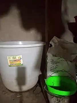 Daisyy-xxx 라이브 XXX 채팅