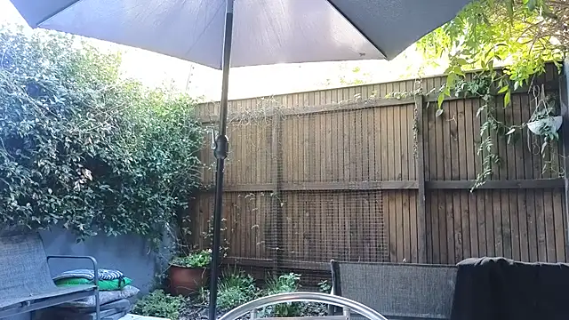 TopsyWildeのウェブカメラショー