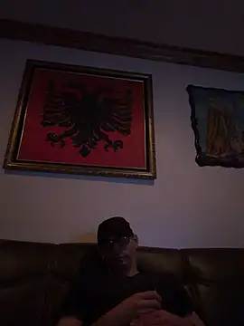 hailzeffn's Webcam Show