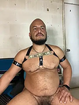 Pertunjukan Kamera Web the_master_foal_