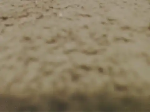 Webkamerová show studlyhardwoodd