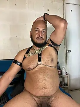 Chat XXX Live the_master_foal_