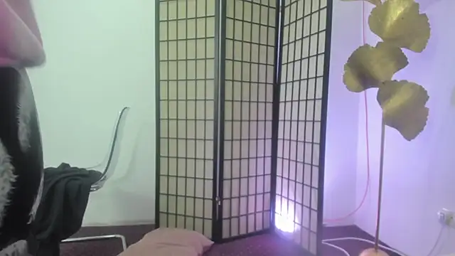 AishaRouhi 现场XXX聊天