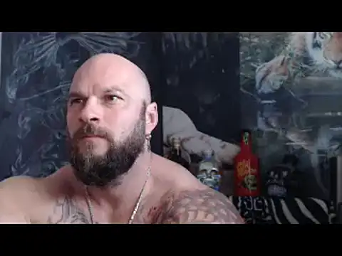 Show webcam de viking_30