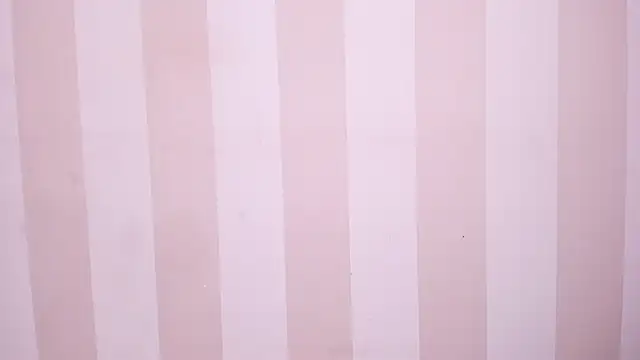 TaylerBev Obrolan Langsung XXX