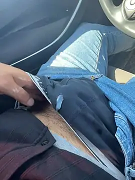 Denizenci – Kamerová šou