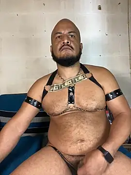 Show de webcam de the_master_foal_