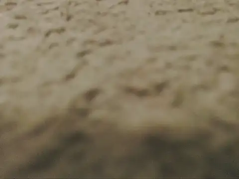 Pokazy przed kamerką – studlyhardwoodd