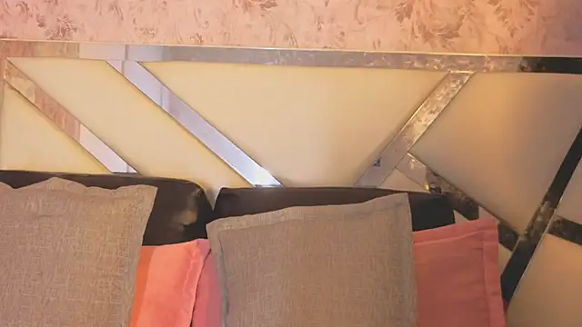 Benny_and_Markのウェブカメラショー