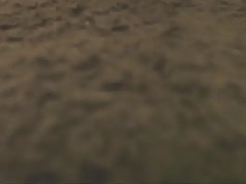 studlyhardwoodd Show in webcam