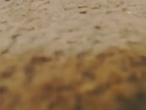 studlyhardwoodd Show in webcam