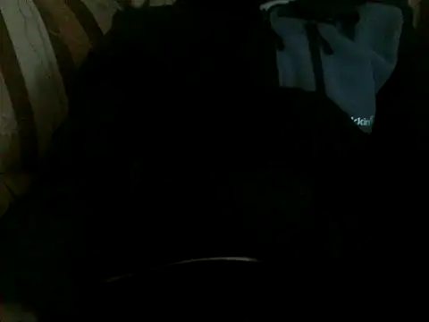 hancurlecesのウェブカメラショー