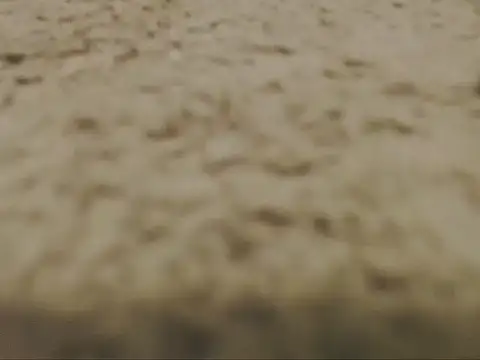 Czat XXX na żywo – studlyhardwoodd