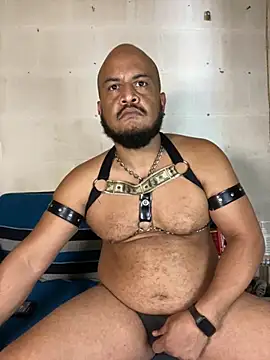 the_master_foal_ – Kamerová šou