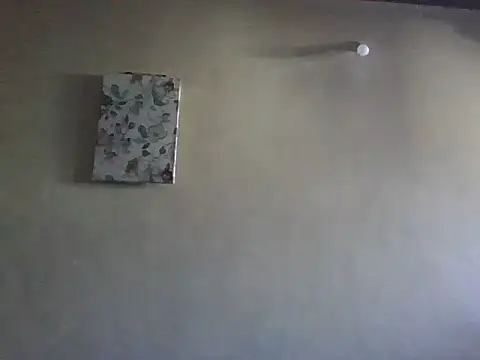 Chat XXX en directo de WhiteRose254