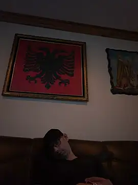 hailzeffn's Webcam Show