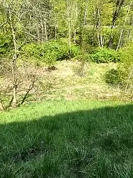 kot766 Show in webcam