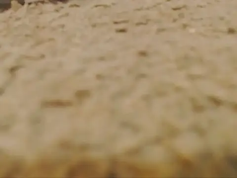 studlyhardwoodd Live XXX-chat