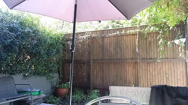 TopsyWilde's Webcam Show