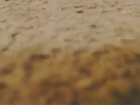 Chat XXX en directo de studlyhardwoodd